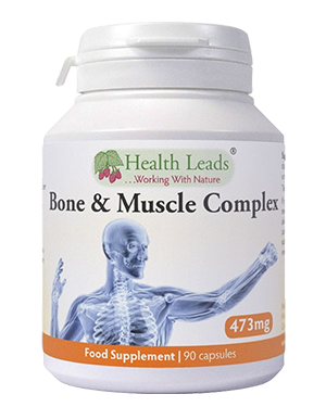 Podpora kostí a svalov